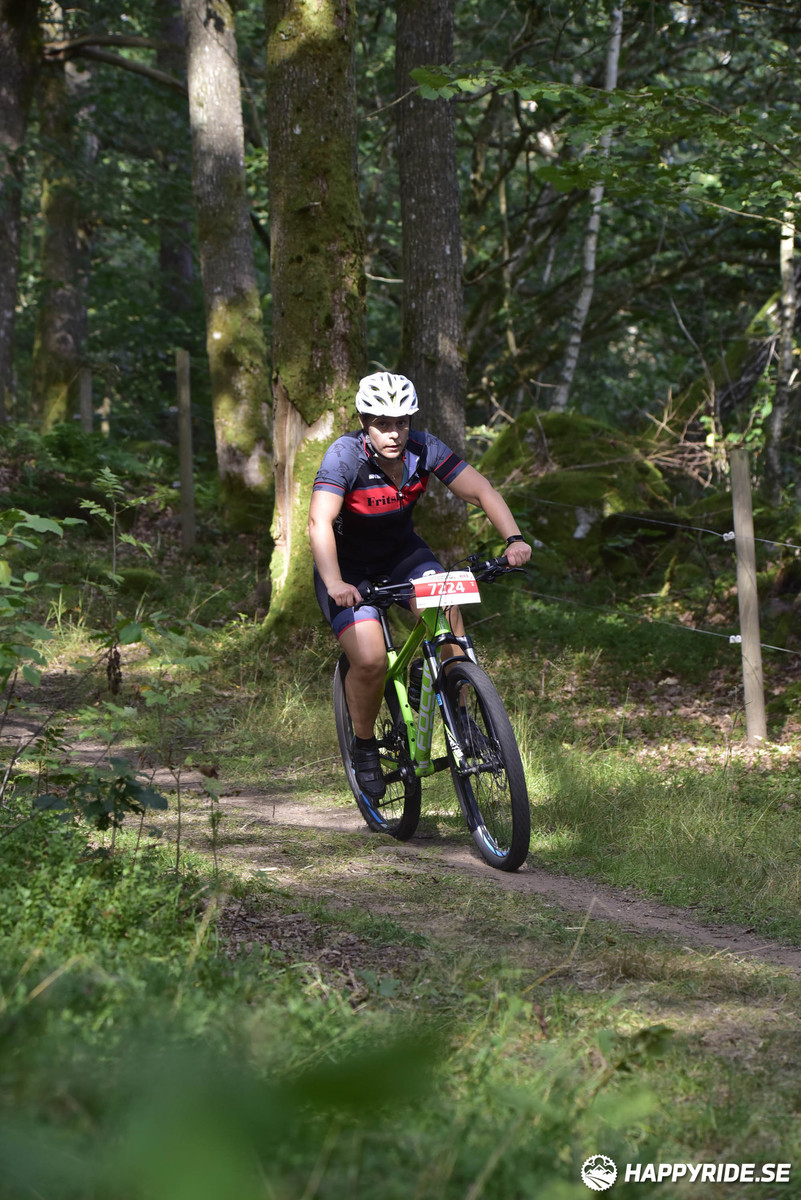 Bild från Bockstensturen 2019